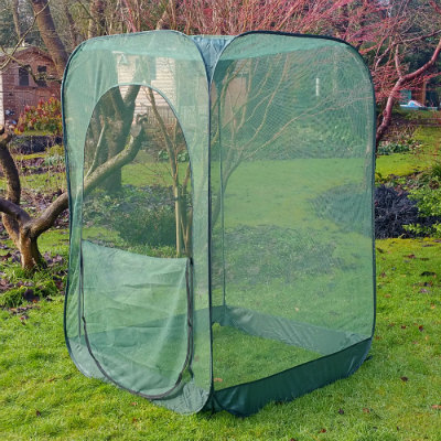 Summer Products – Pop-Up Net Fruit Cage – 1.25m x 1.25m x 1.85m High