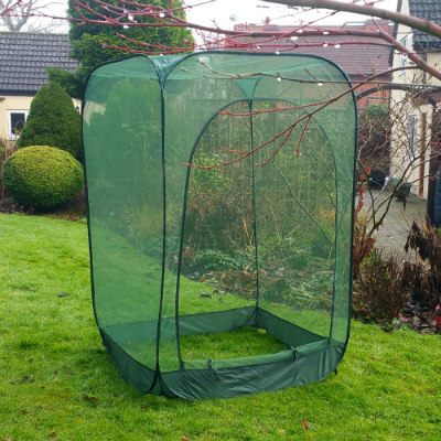 Fruit Cages - Pop Up Cages - Net Cages - Pop-Up Net Fruit Cage – 1m x 1m x 1.85m High