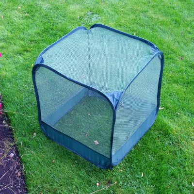 Fruit Cages - Pop Up Cages - Net Cages - Pop-Up Mini Net Fruit Cage – 50 x 50 x 50cm (pack of 2)