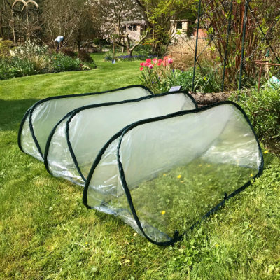 Cloches & Tunnels – Pop-Up Poly Cloche – 1 x small, medium and large (pack of 3)