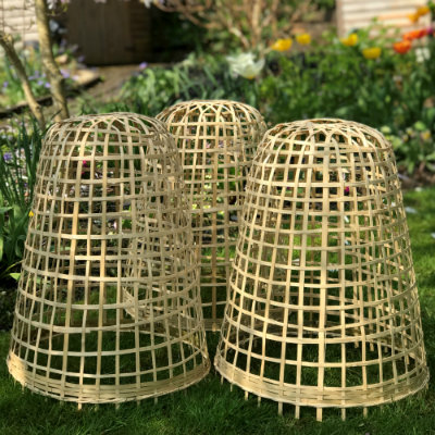 Cloches & Tunnels – Bamboo Bell Cloches – Bamboo Bell Cloche – small (pack of 3)