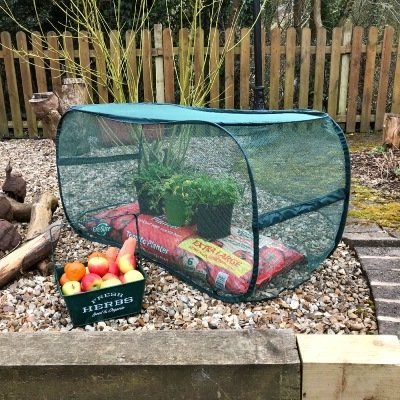 GardenSkill Medium Fruit and Vegetable Pop Up Cage