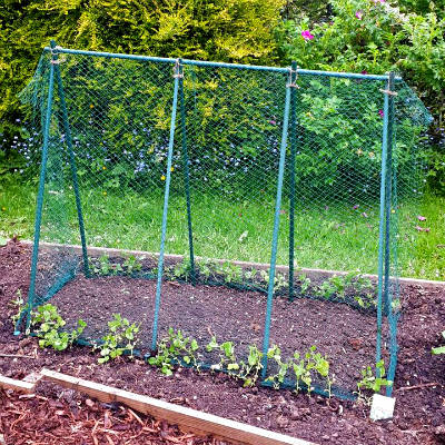 Plant Supports – Pea & Bean Frames - Pea Frame Kit