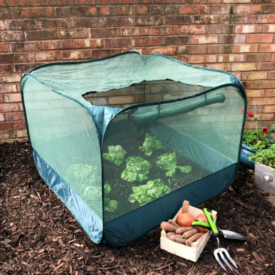 GYO Expert - Fruit Cage Guide - Pop Up Cage 0.75m