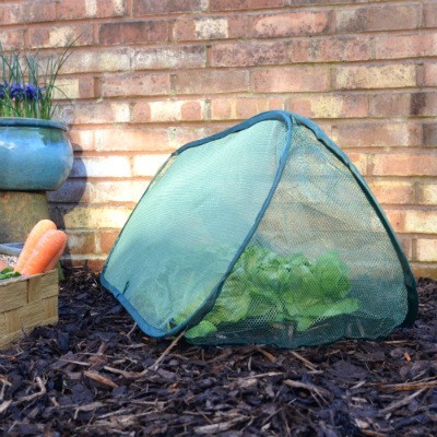 Cloches & Tunnels – Pop Up Triangle Cloches – Net Cloches - Pop-Up Net Cloche – medium (1.25m long x 0.5m wide x 0.5m high)