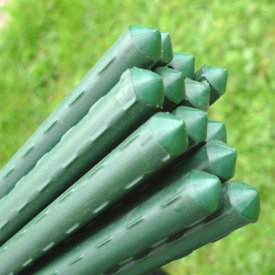 Plant Supports – Plant Stakes & Garden Canes - Plant Stake Bundles - 0.75m
