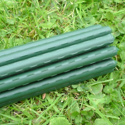 Plant Supports – Plant Stakes & Garden Canes - Plant Stake Bundles - 1.2m