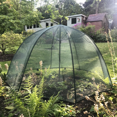 Fruit Cages - Pop Up Cages - Plant Umbrella - 1m x 0.75m high