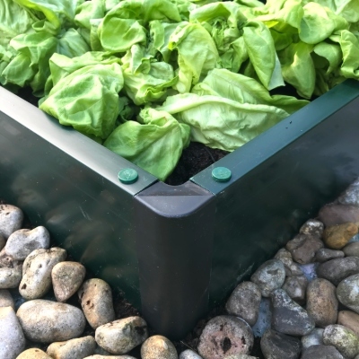 Raised Beds – 150mm High Raised Beds - Build-a-Bed Raised Bed 1.25 x 1.25 x 150mm High + FREE RAISED BED LINER / COVER