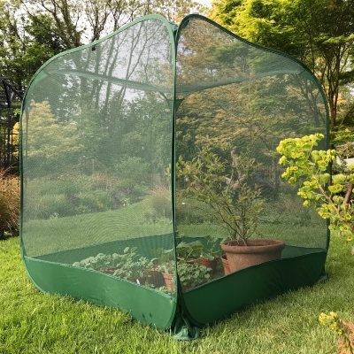 Fruit Cages - Pop Up Cages - Net Cages - Pop n Grow Fruit Cage & Brassica Guard 1.25m x 1.35m
