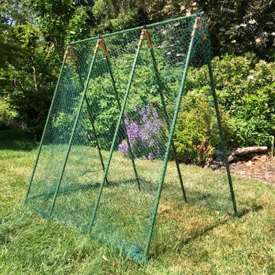 Plant Supports – Pea & Bean Frames - Pea Master Heavy Duty Pea & Climbing Plant Support Frame - 1.2m x 1.2m x 0.75m
