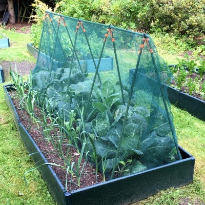Cloches & Tunnels – Pop Up Triangle Cloches – Net Cloches - Super Cloche Strawberry Protection Cage with Bird Netting - 2.4m x 0.75m x 1m high