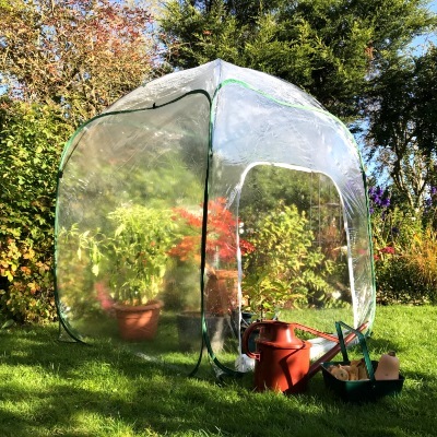 Fruit Cages - Pop Up Fruit Cages – Poly Cages - Pop-Up Poly Cage – 1.25m x 1.25m x 1.85m high