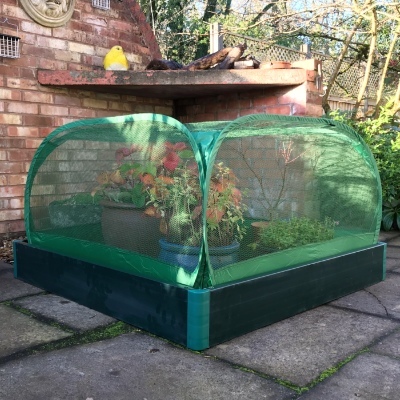 Christmas Gifts - Allotmenteer Raised Bed & Fruit Cage Combi Kit - Small