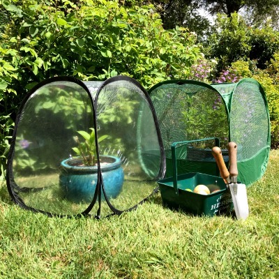 Fruit Cages & Grow Houses - Pop Up Fruit Cages - Poly Cages - Pop Up Mini Greenhouse & Fruit Cage Set - 50 x 50 x 50cm