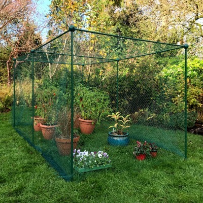 Fruit Cages - Build-a-Cages - Build-a-Cage Fruit Cage with Butterfly Net (1.25m high)