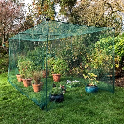 Fruit Cages - Budget Cages - Bird Net Cages - No-Frills Fruit & Veg Cage with Bird Net – 1.6m high (Various Sizes)