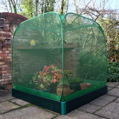 Fruit Cages & Grow Houses - Allotmenteer Fruit Cage & Raised Bed Kits - Allotmenteer Raised Bed & Fruit Cage Combi Kit - 1.25 x 1.25 x 1.5m H