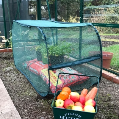 Fruit Cages - Pop Up Fruit Cages – Pop-Up Net Grow Bag Crop Cage – 1.1m L x 0.45m W x 0.55m H (pk of 2)