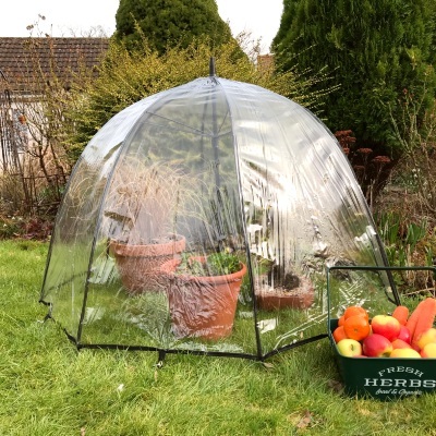 Fruit Cages - Pop Up Cages - Pop n Crop Plant Umbrella Greenhouse & Bell Cloche