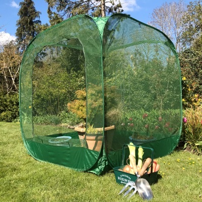 Fruit Cages - Pop-Up Net Fruit Cage – 1.25m x 1.25m x 1.35m High