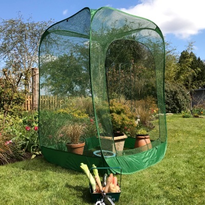 Fruit Cages - Pop-Up Net Fruit Cage – 1m x 1m x 1.85m High