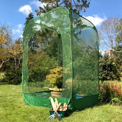 Fruit Cages - Pop Up Cages - Net Cages - Pop-Up Net Fruit Cage – 1.25m x 1.25m x 1.85m High