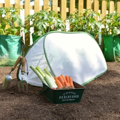 Cloches & Tunnels – Pop Up Triangle Cloches – Insect Net Cloches - Pop-Up Insect Net Cloche – medium (1.25m long x 0.5m wide x 0.5m high)