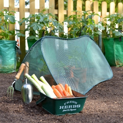Cloches & Tunnels – Pop Up Triangle Cloches - Pop-Up Net Cloche – small (1m long x 0.4m wide x 0.4m high)