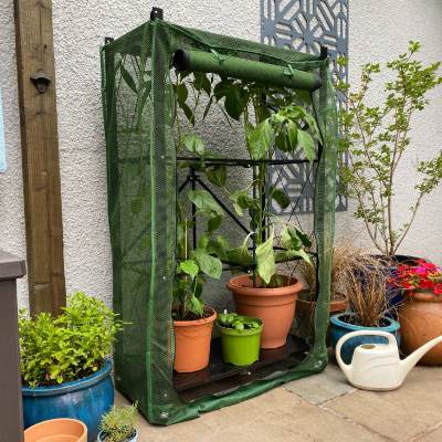 Fruit Cages & Grow Houses - Multiflex Patio & Balcony Fruit & Veg Cage