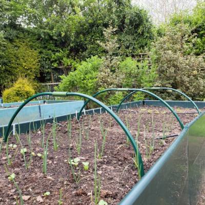 Cloches & Tunnels - Extendable Metal Garden Hoops - Small