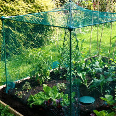 SPRING - Fruit Cages - Build-a-Cages - Bird Net Cages - Build-a-Cage Fruit Cage with Bird Net (1.25m high)