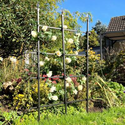Plant Supports – Flower & Climbing Plant Supports - Garden Trellis & Climbing Plant Support 6ft / 180x150cm H