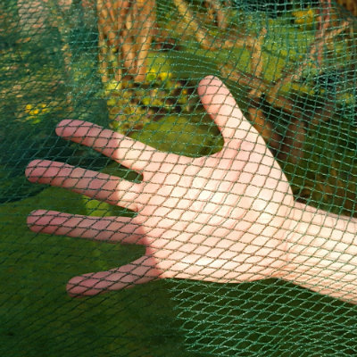 Walk In Fruit Cages – Butterfly Netting - 4m Wide (Various Sizes)