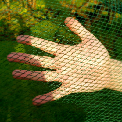 Walk In Fruit Cages – Butterfly Netting - 8m Wide (Various Sizes)